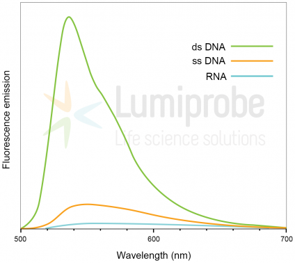 Pico488 dsDNA quantification reagent, 200x solution in DMSO