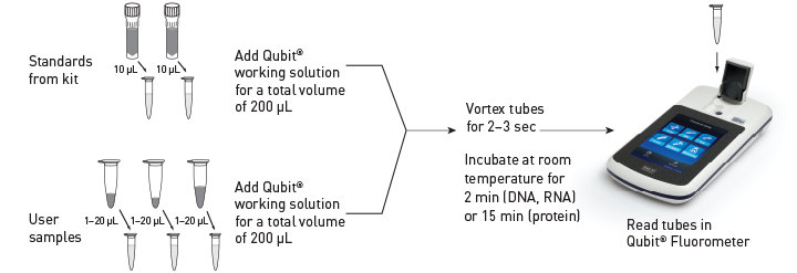 Qubit4.0-美国Life Qubit3.0/Qubit4.0荧光定量仪-荧光定量仪