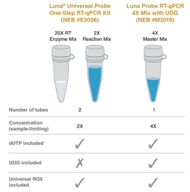 Luna 通用探针一步法 RT-qPCR 4X 预混液，含 UDG--NEB酶试剂