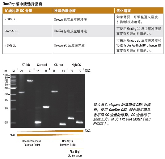 OneTaq 热启动 2X 预混液（提供 GC 缓冲液）--NEB酶试剂