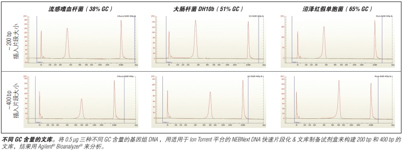 NEBNext DNA 快速片段化 & 文库制备试剂盒-Ion Torrent--NEB酶试剂