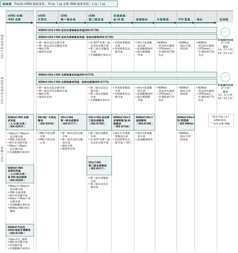 NEBNext Ultra II RNA 定向文库制备试剂盒 - 含纯化磁珠--NEB酶试剂