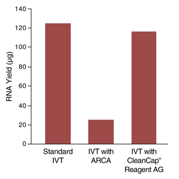 HiScribe™ T7 mRNA合成试剂盒（含 CleanCap® Reagent AG）--NEB酶试剂