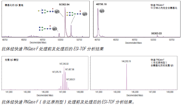 快速 PNGase F （非还原剂型）--NEB酶试剂