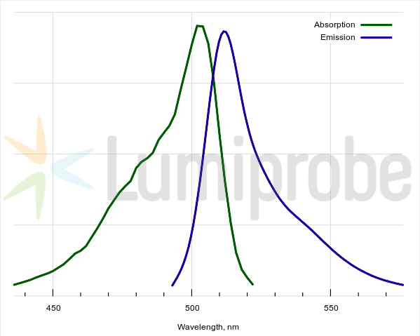 BDP 505/515 lipid stain