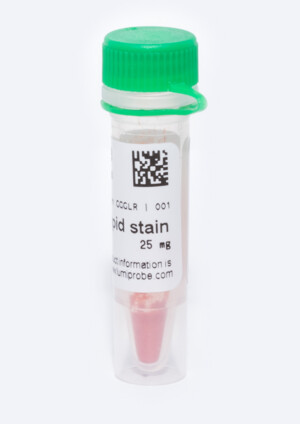 BDP 493/503 lipid stain