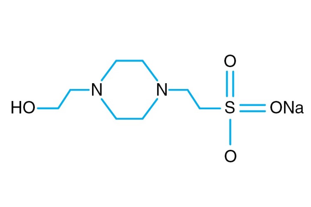 HEPES sodium Buffer