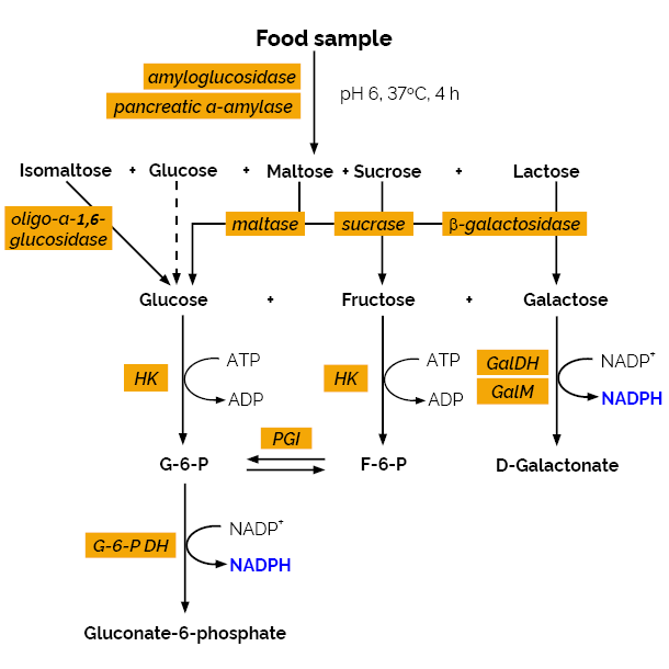 Available Carbohydrates Assay Kit K-AVCHO