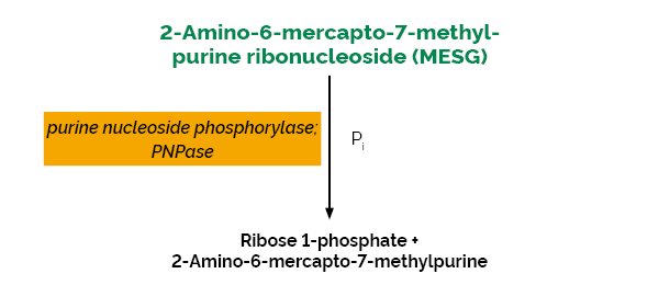 Phosphate Assay Kit K-PHOS PHOS