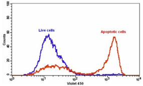 Annexin V-iFluor 750标记    货号20076