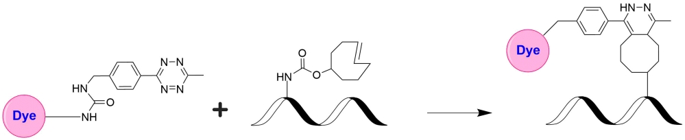 iFluor™ 647四嗪    货号1019