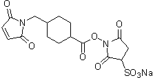 架橋剤 Sulfo-SMCC　同仁化学研究所