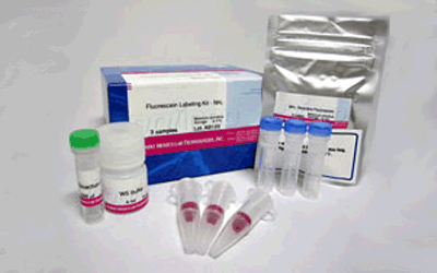 抗体標識キット Ab-10 Rapid Fluorescein Labeling Kit　同仁化学研究所