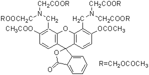 生細胞染色用色素 -Cellstain&reg;- Calcein-AM solution　同仁化学研究所