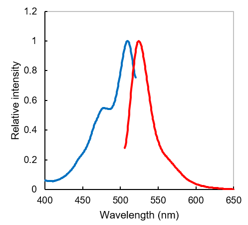 ERseeing ＜Endoplasmic Reticulum Green＞                              对活细胞影响少，适于长时间成像的ER染色试剂