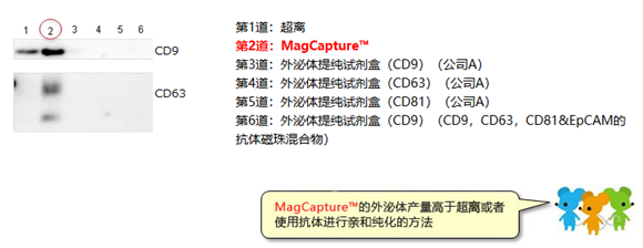 MagCapture™ 外泌体提取试剂盒                              MagCapture™ Exosome Isolation Kit PS