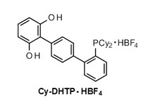 四氟硼酸2''-(二环己基膦)-对三联苯-2,6-二醇                              2''-(Dicyclohexylphosphino)-p-terphenyl-2,6-diol Tetrafluoroborate