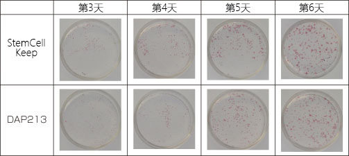 适用于灵长类 ES/iPS 细胞的玻璃化冻存液                              StemCell Keep