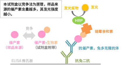 催产素ELISA试剂盒                              Oxytocin ELISA Kit Wako