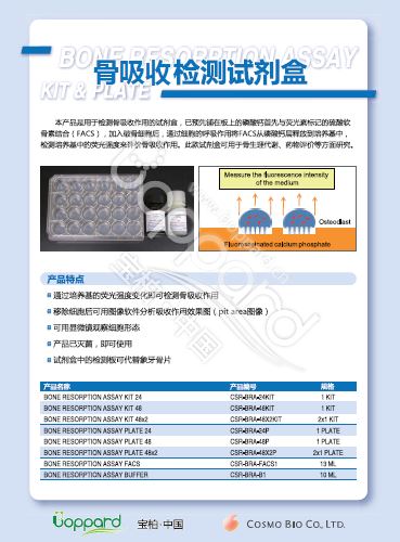 骨吸收检测试剂盒                              Bone Resorption Assay Kit