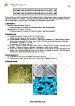 骨吸收检测试剂盒                              Bone Resorption Assay Kit