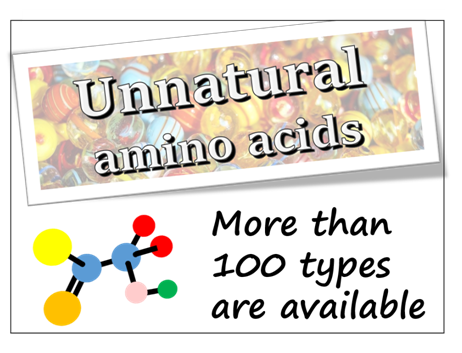 非天然氨基酸