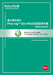 Phos-tag™ 丙烯酰胺                              Phos-tag™ Acrylamide