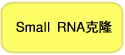 Small RNA Cloning Kit